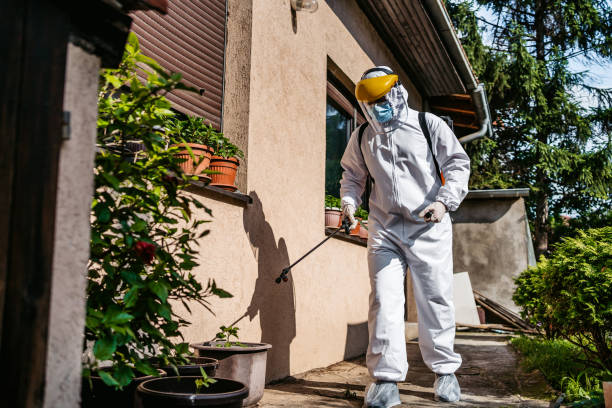 Best Local Pest Control Services  in Millville, UT